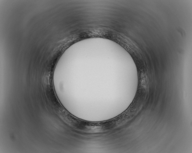 X0000113090514200909251013