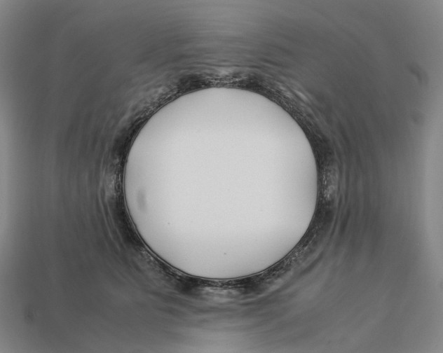 X0000113090515200909251013