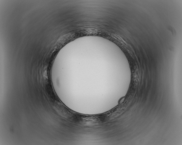 X0000113090516200909251013