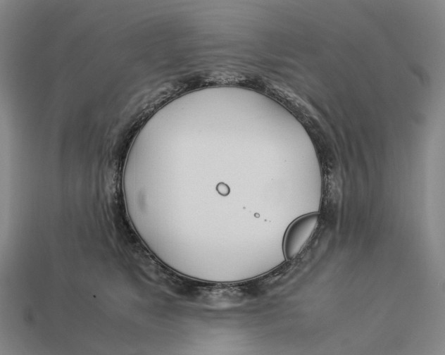 X0000113090517200909251013
