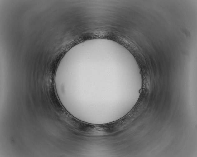 X0000113090518200909251013