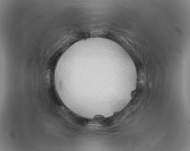 X0000113090519200909251013