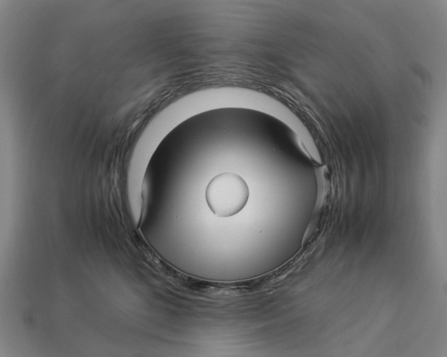 X0000113090520200909251013