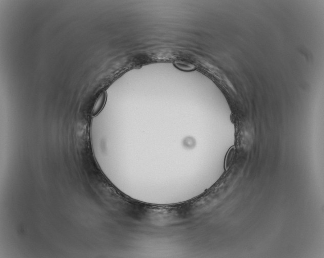 X0000113090521200909251013