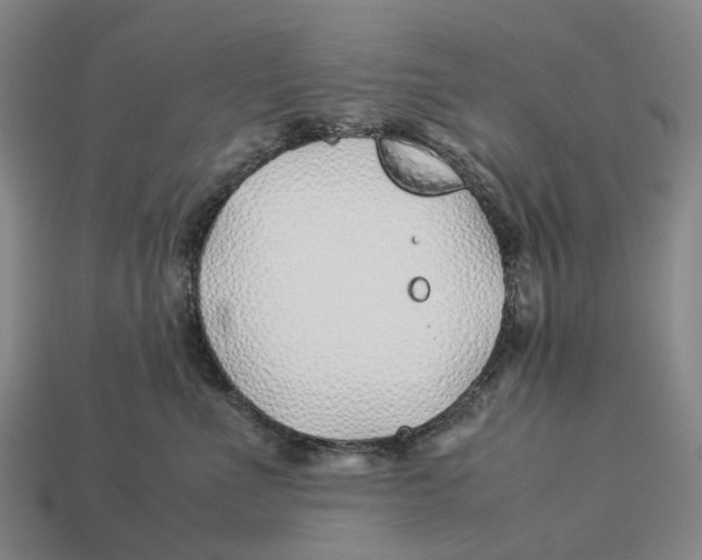 X0000113090523200909251013