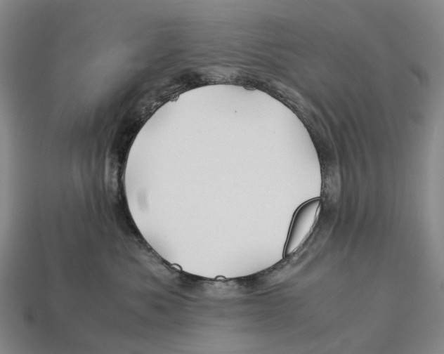 X0000113090525200909251013