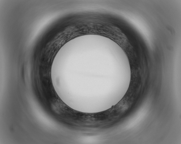 X0000113090526200909251013