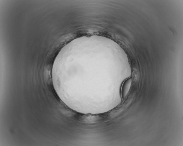 X0000113090527200909251013
