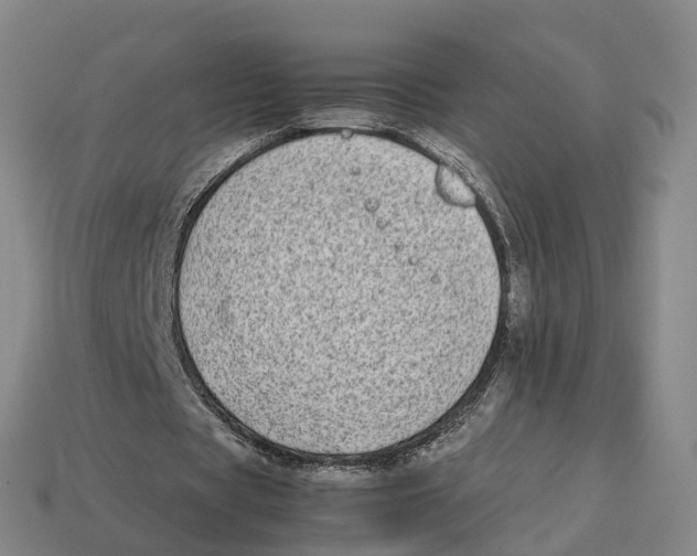 X0000113090529200909251012