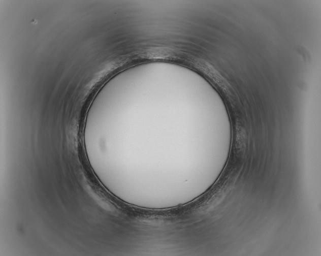 X0000113090530200909251012