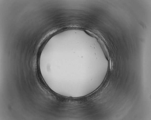 X0000113090531200909251012