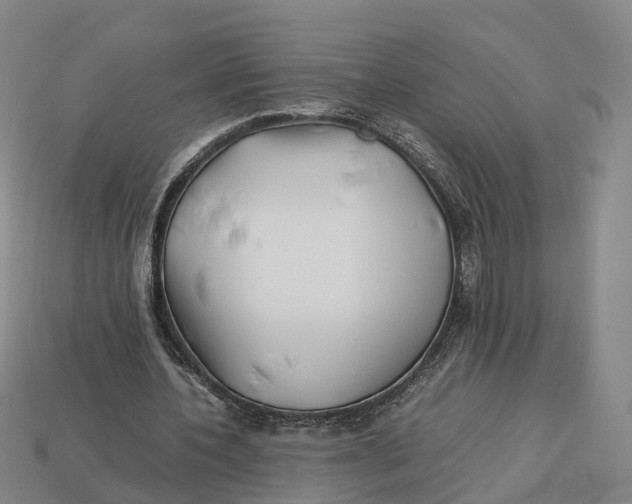 X0000113090532200909251012