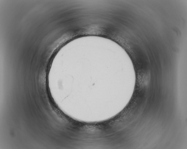 X0000113090534200909251012