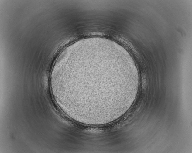 X0000113090537200909251012
