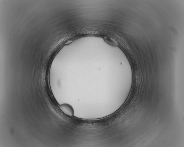 X0000113090538200909251012