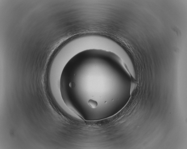 X0000113090540200909251012