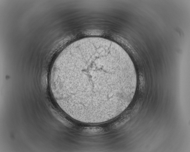 X0000113090541200909251012