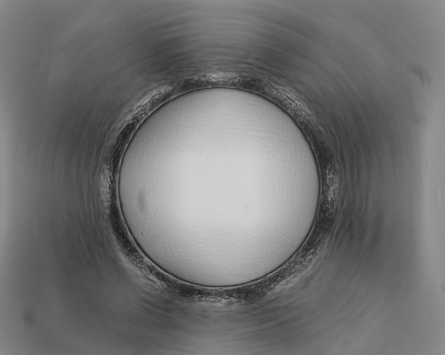 X0000113090542200909251012