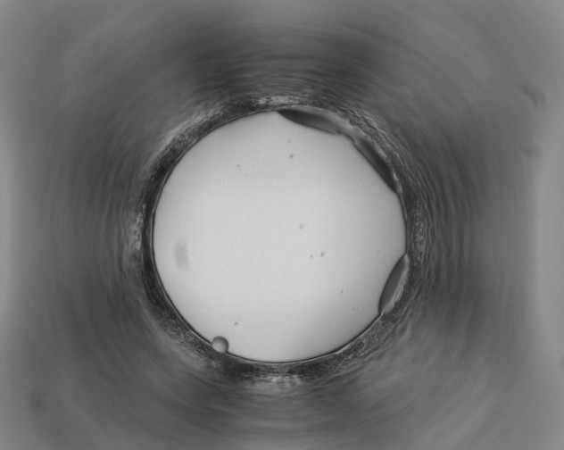 X0000113090543200909251012