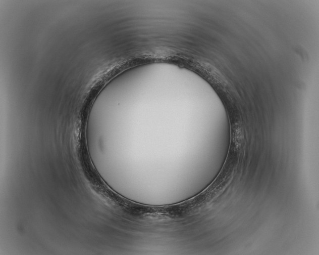 X0000113090544200909251012