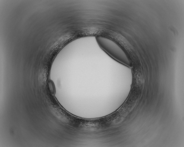 X0000113090546200909251012