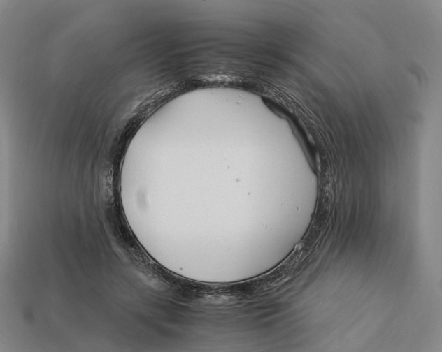 X0000113090547200909251012