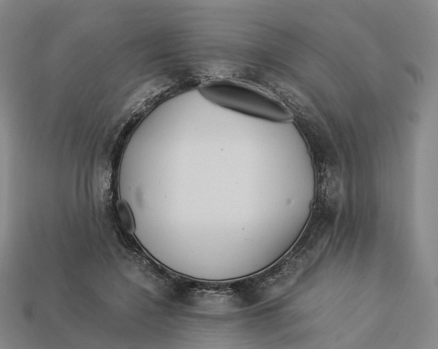 X0000113090548200909251012