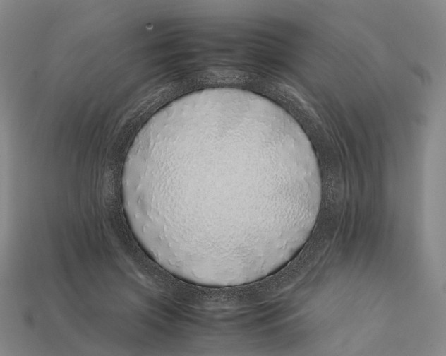 X0000113090549200909251012