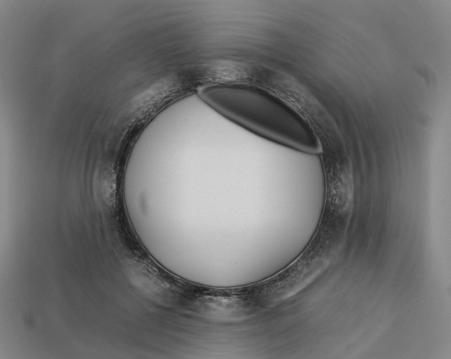 X0000113090552200909251012