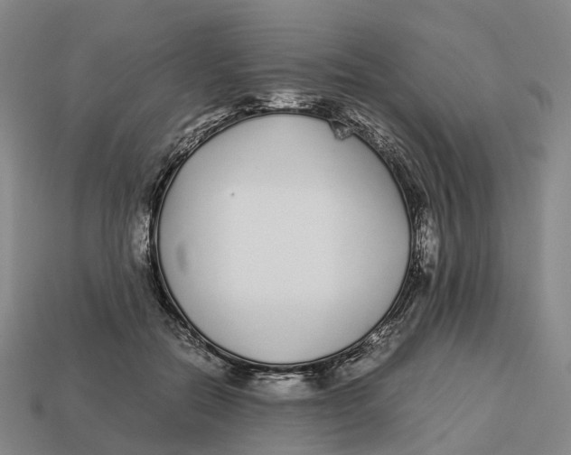 X0000113090554200909251012