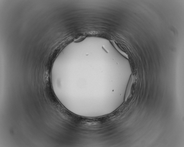 X0000113090555200909251012