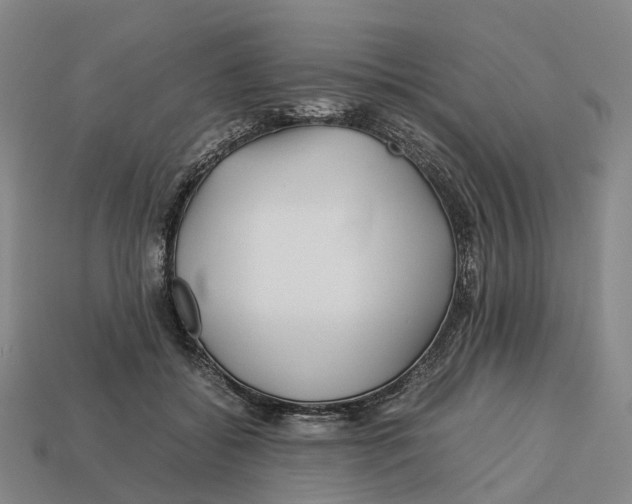 X0000113090556200909251012
