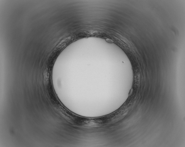 X0000113090558200909251012
