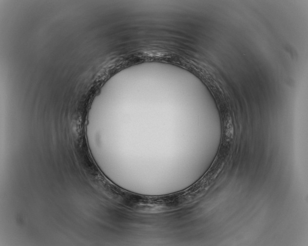 X0000113090559200909251012