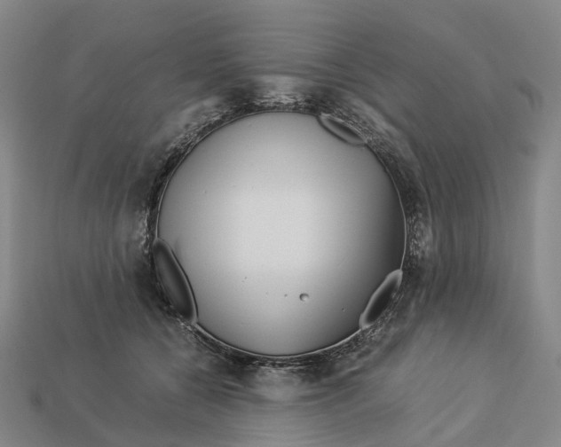 X0000113090560200909251012