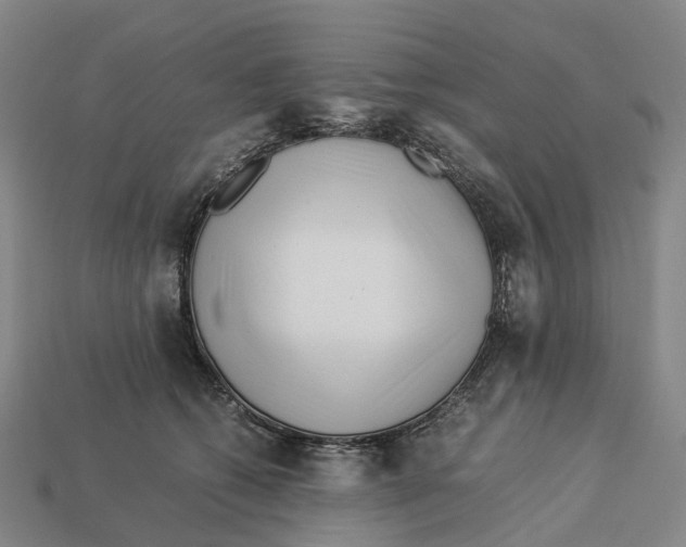 X0000113090562200909251012