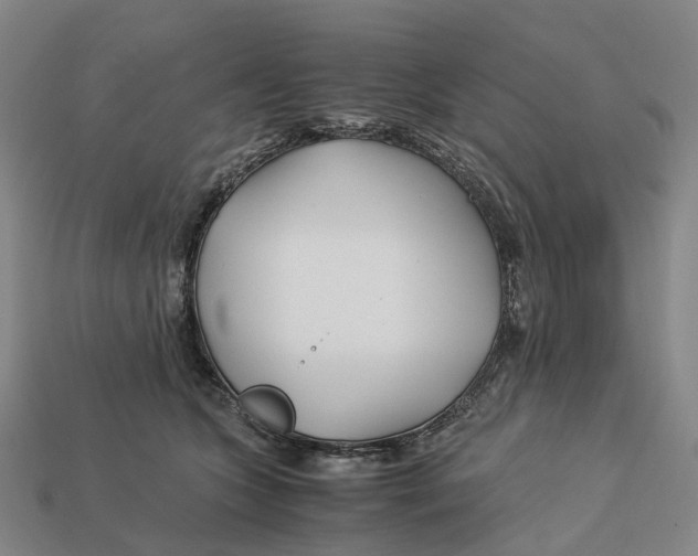 X0000113090563200909251012