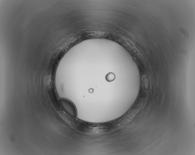 X0000113090564200909251012