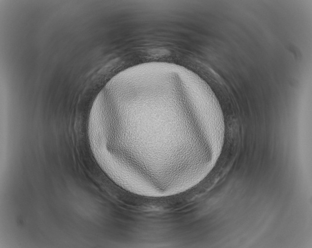 X0000113090565200909251012