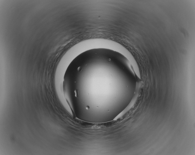 X0000113090566200909251012