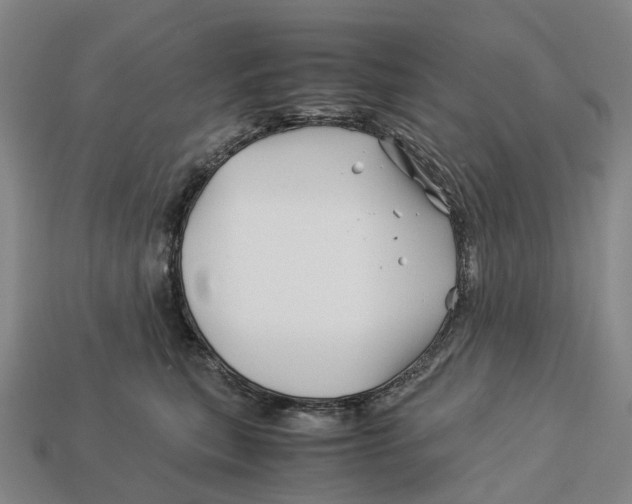 X0000113090567200909251012
