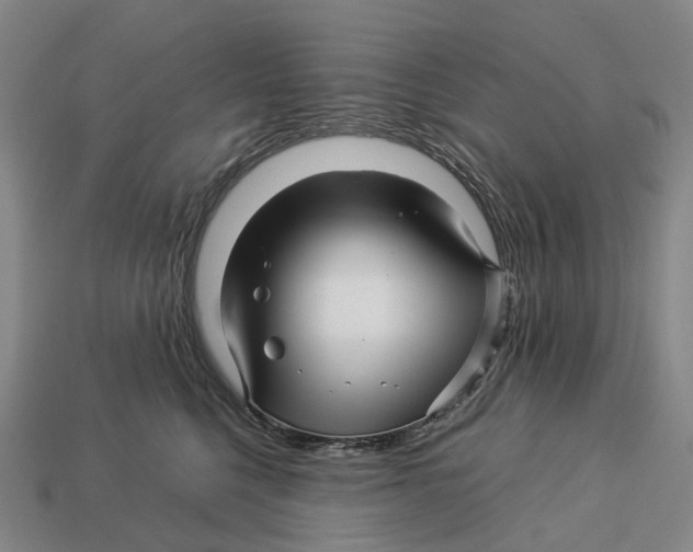 X0000113090568200909251012