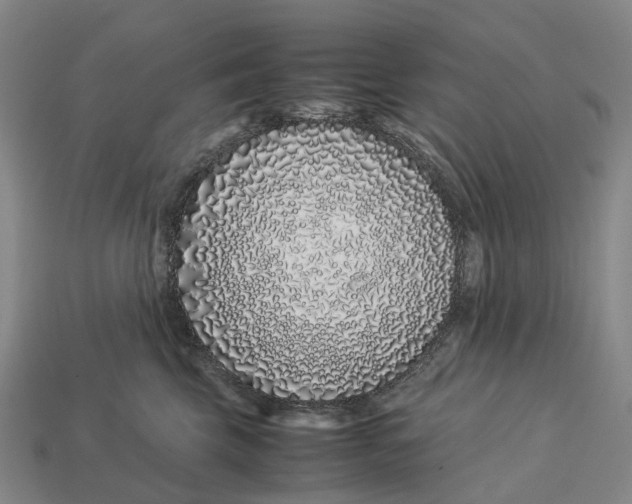 X0000113090569200909251012