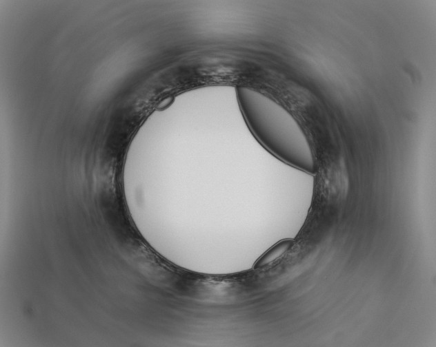 X0000113090570200909251012