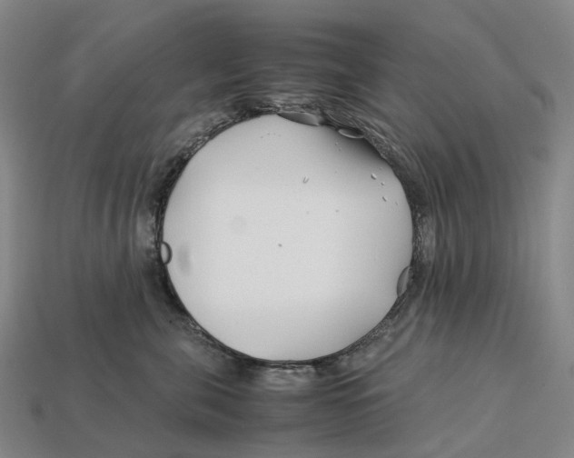 X0000113090571200909251013