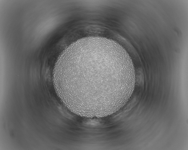 X0000113090573200909251013