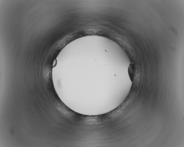 X0000113090574200909251013