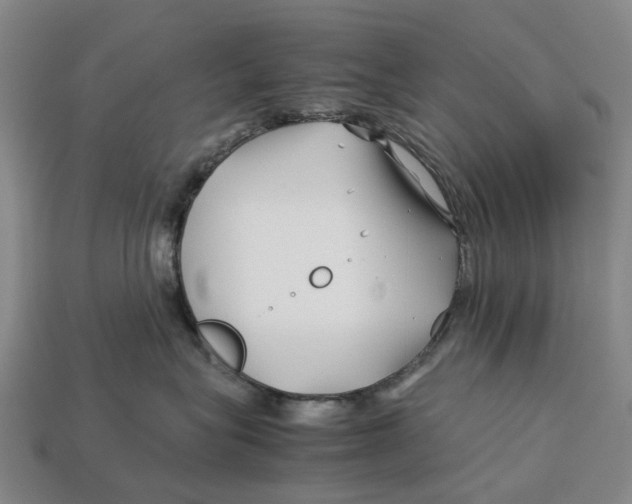 X0000113090575200909251013