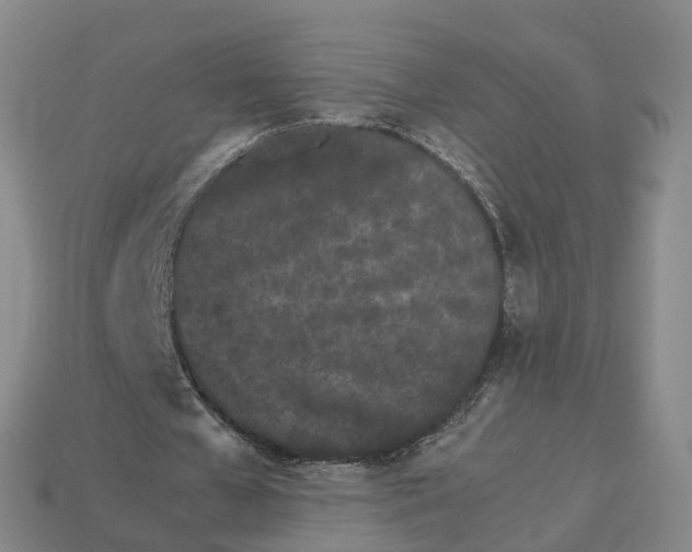 X0000113090577200909251012