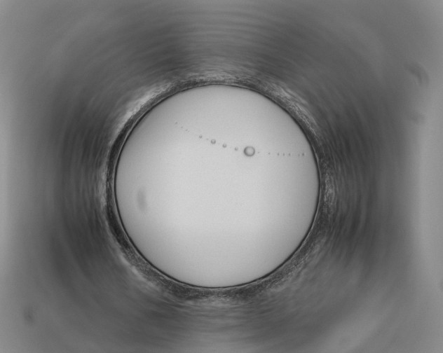 X0000113090578200909251012